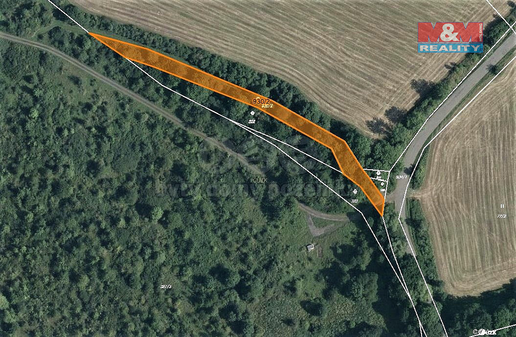 Prodej lesa 1 300 m² – fotografie 4