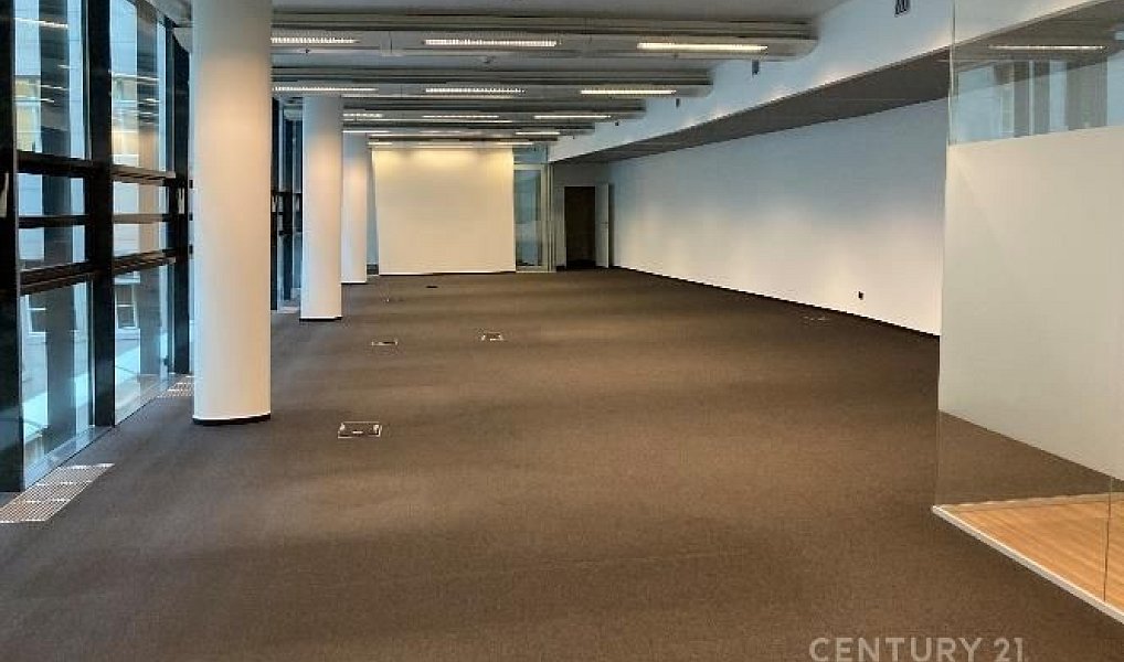 Pronájem kanceláře 2 009 m², Praha – náhled fotky 11