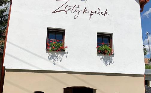 Prodej vinného sklepa 66 m2, Čejkovice, okres Hodonín