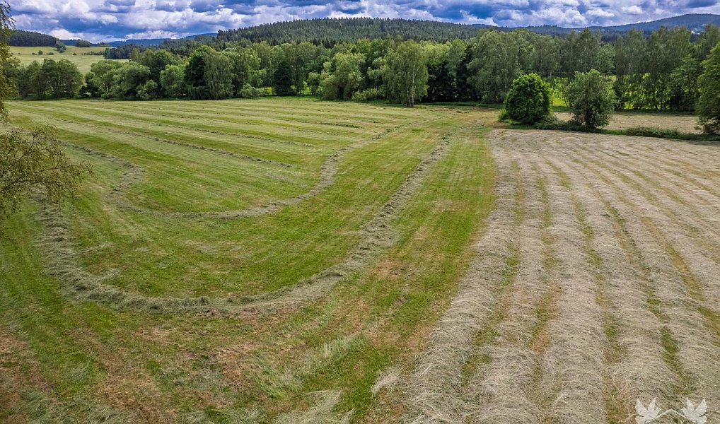 Prodej komerčního pozemku 9 518 m², Stachy – náhled fotky 11