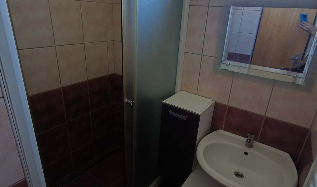Pronájem bytu 4+kk 86 m², Božice – náhled fotky 11