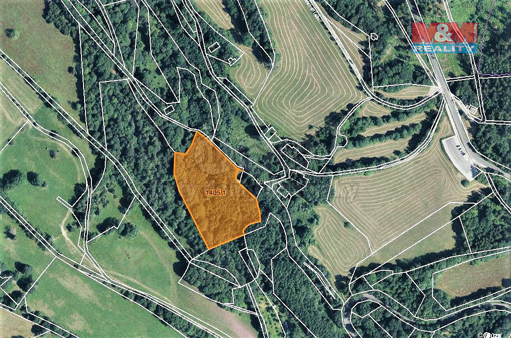 Prodej lesa 13 585 m² – fotografie 5
