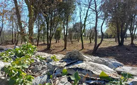 Prodej stavebního pozemku 3 153 m², Marčana, Chorvatsko