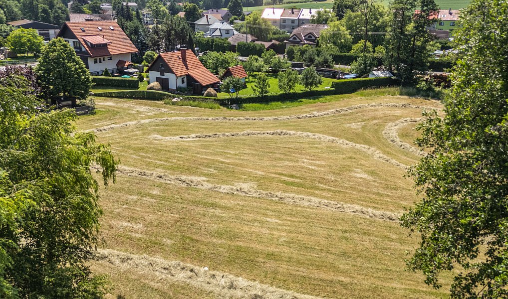 Prodej stavebního pozemku 4 101 m², Borová – náhled fotky 4
