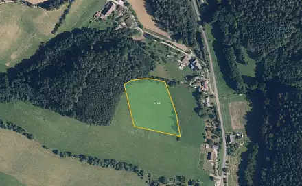 Prodej louky 9 619 m², Ruda nad Moravou - Hostice, okres Šumperk