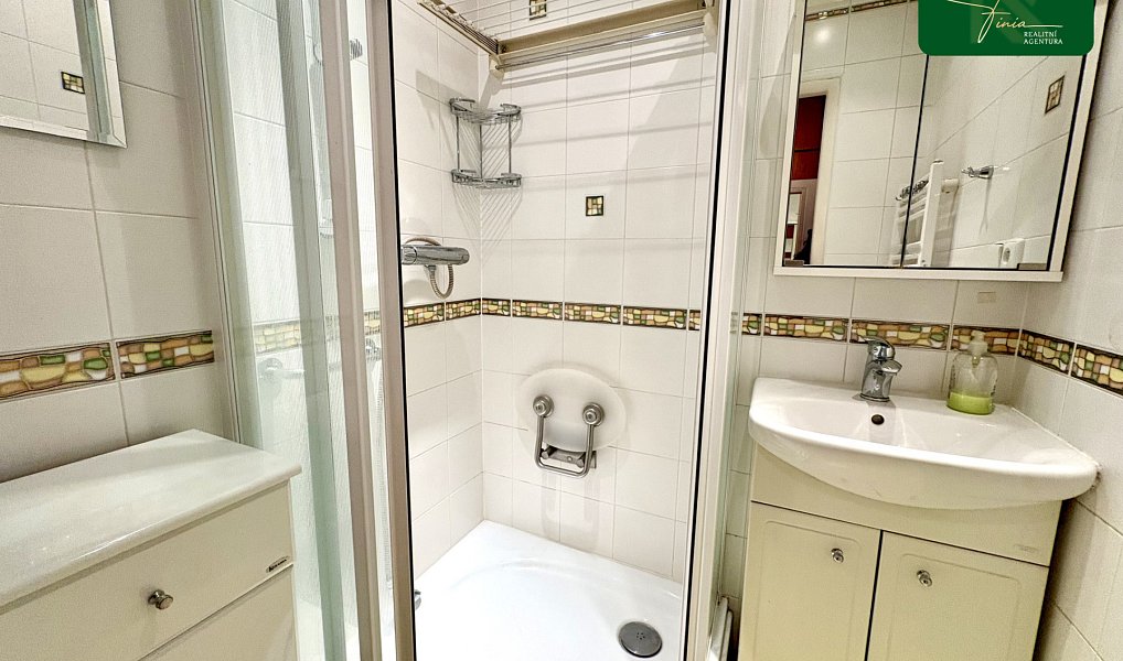 Prodej bytu 2+1 50 m², Praha – náhled fotky 12
