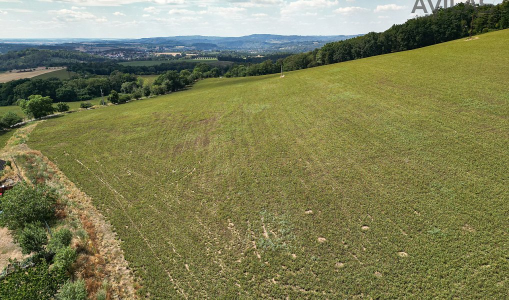 Prodej stavebního pozemku 7 885 m², Soběhrdy – náhled fotky 12
