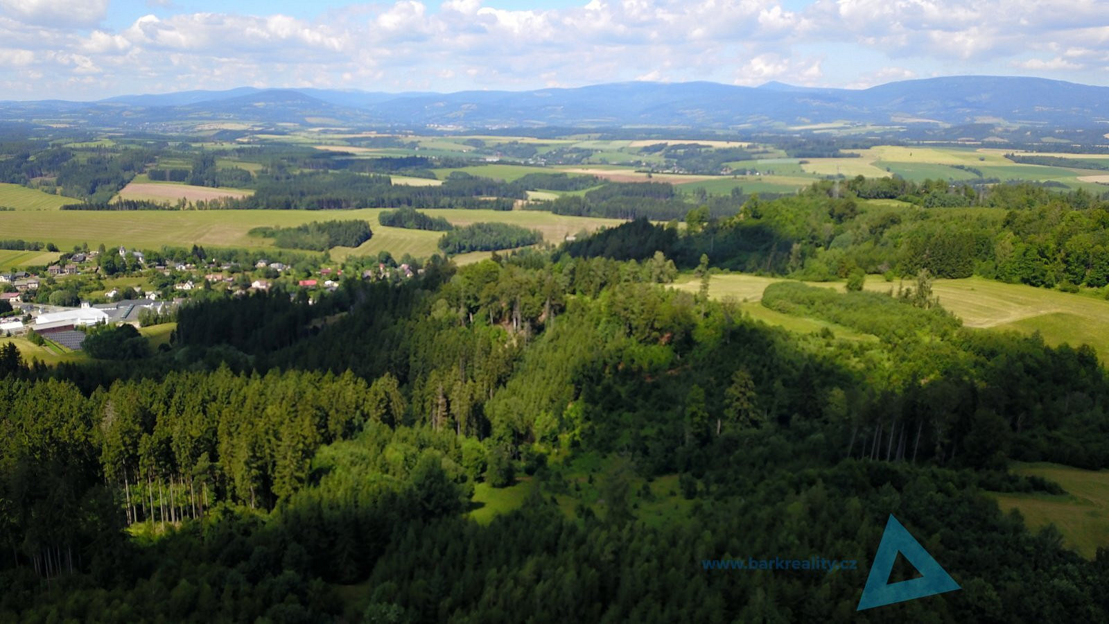 Prodej louky 24 781 m² — photo 4