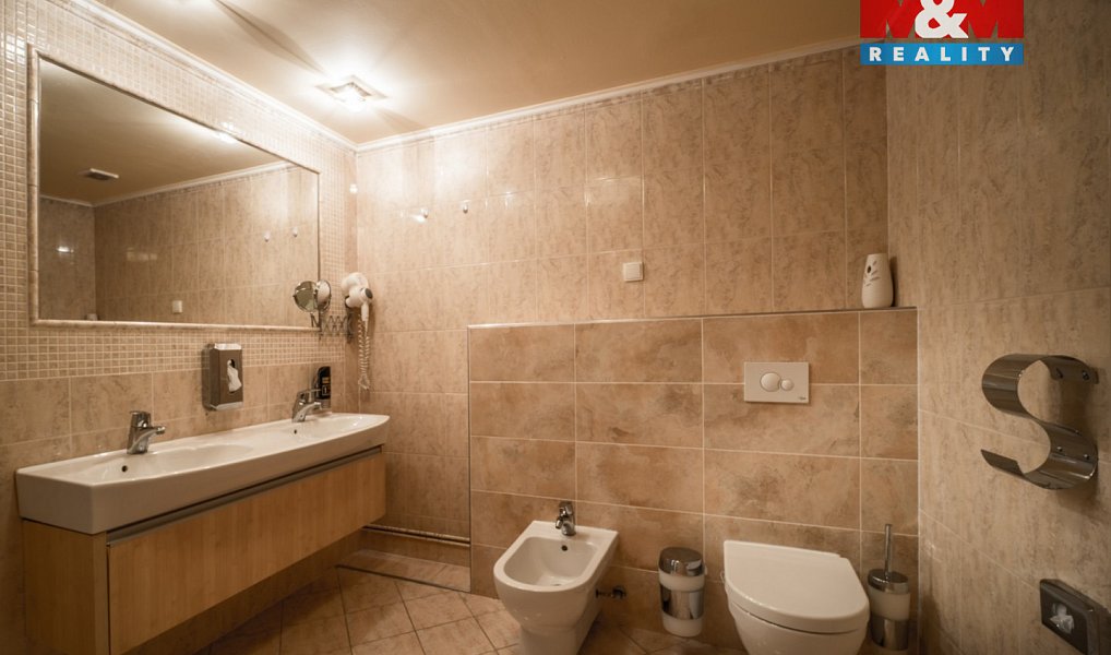 Pronájem bytu 4+kk 102 m², Plzeň – náhled fotky 9