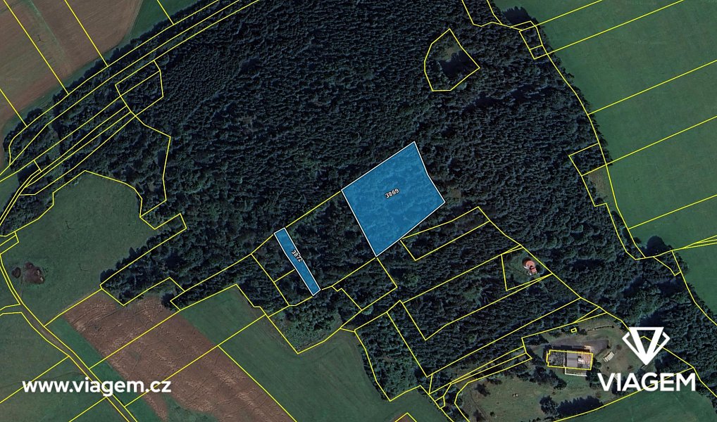Prodej lesa 5 730 m², Chodská Lhota – náhled fotky 4