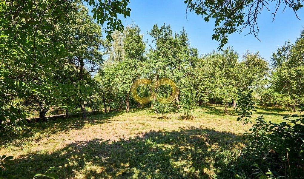 Prodej chaty/chalupy 300 m² s pozemkem 2 850 m², Žimutice – náhled fotky 14