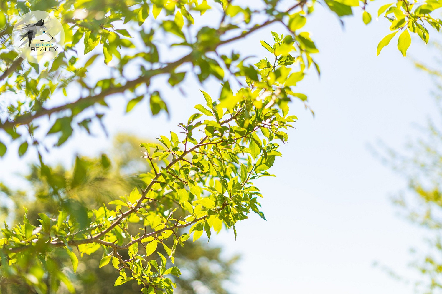 Fotka 18 z 30