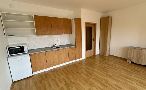 Pronájem bytu 2+kk 58 m², Trýbova, Brno - Staré Brno