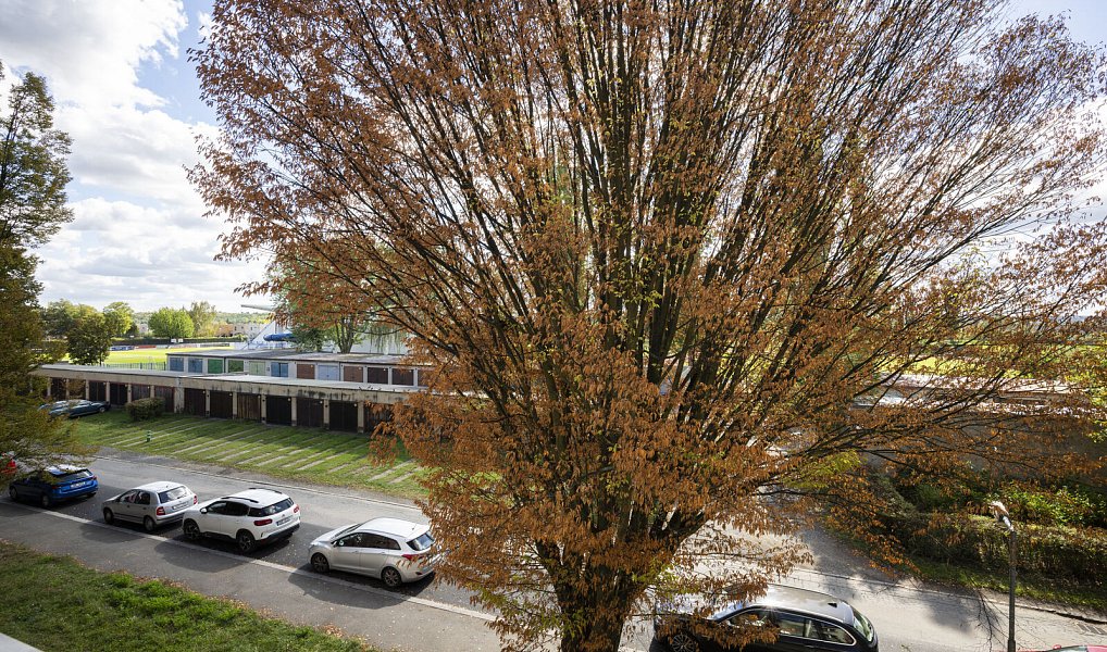 Prodej bytu 2+1 46 m², Slaný – náhled fotky 15