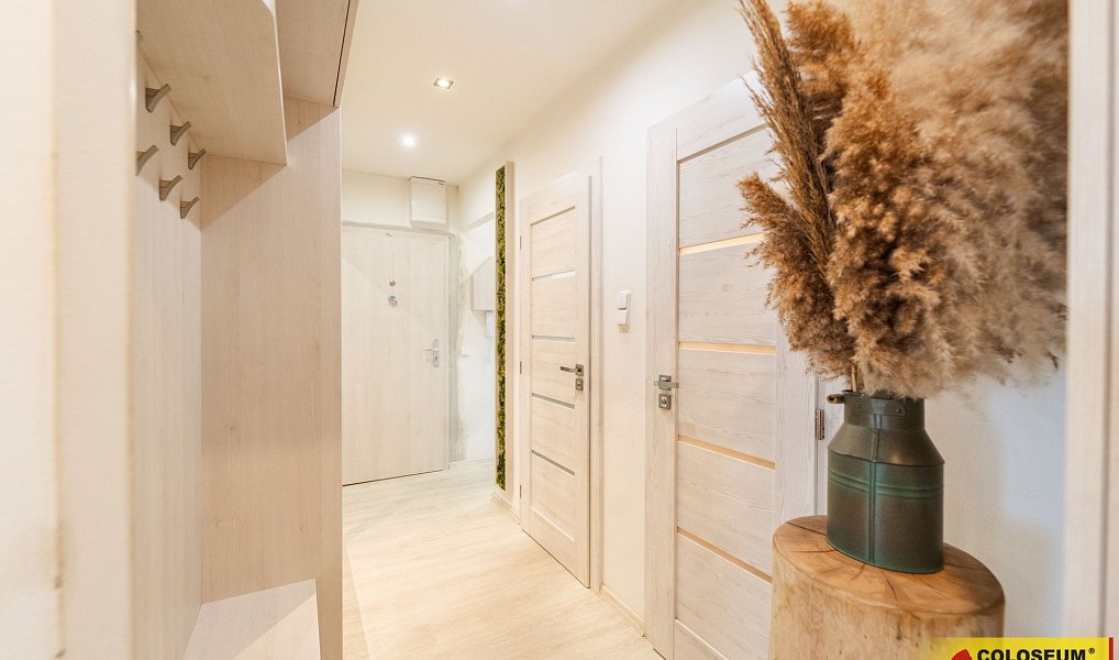 Prodej bytu 3+kk 54 m², Veselí nad Moravou – náhled fotky 6