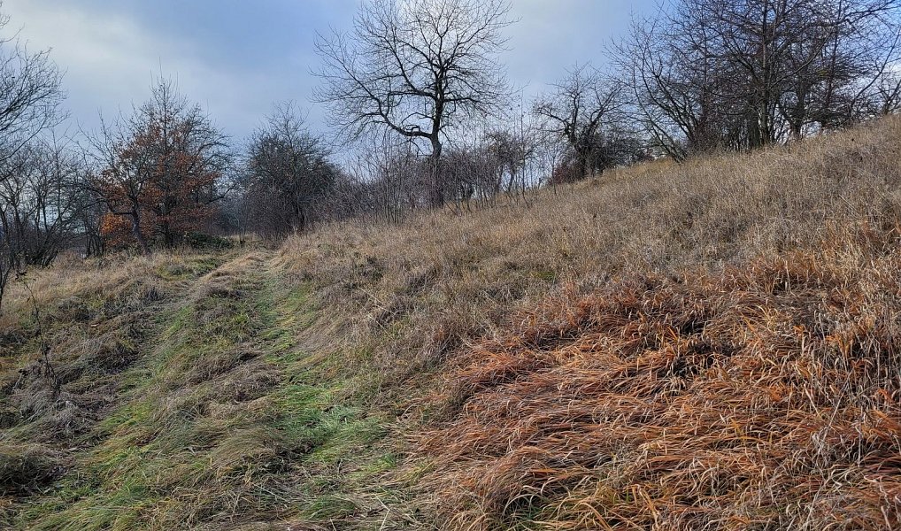 Prodej louky 6 483 m², Třebsko – náhled fotky 2