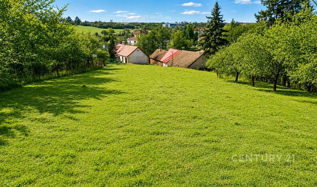 Prodej stavebního pozemku 3 207 m², Všesulov – náhled fotky 2