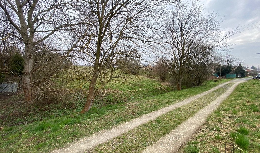 Prodej stavebního pozemku 2 341 m², Tršice – náhled fotky 7