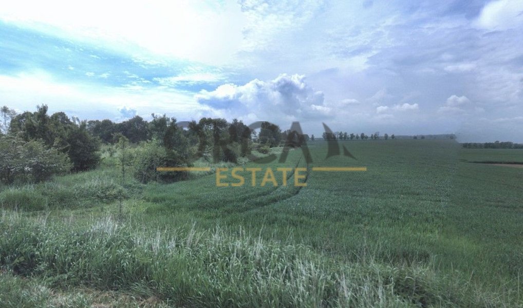 Prodej pole 552 m², Uherský Ostroh – náhled fotky 5
