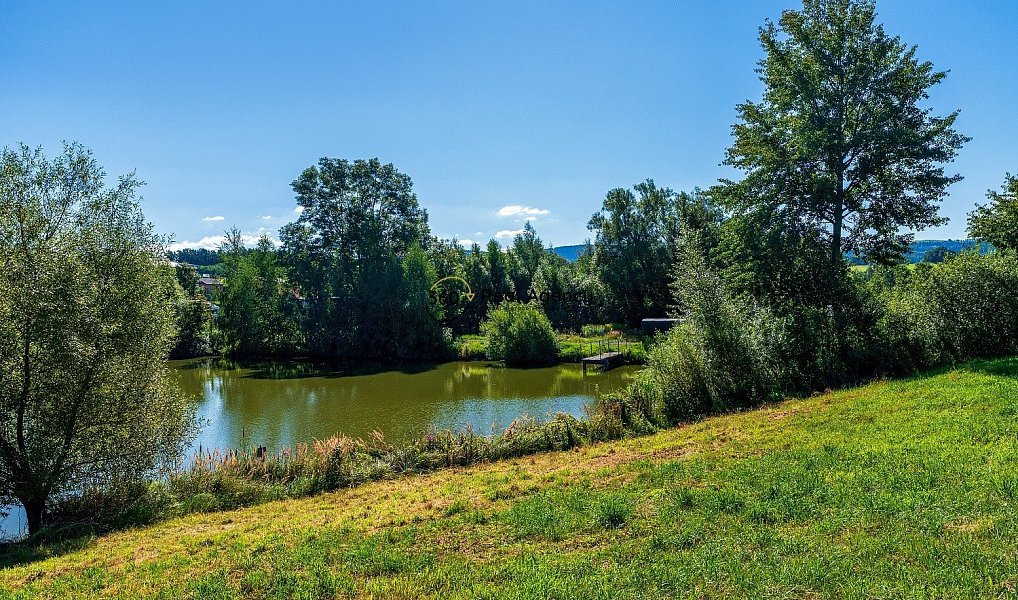Prodej pozemku 63 354 m², Heřmanice – náhled fotky 14
