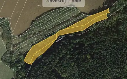 Prodej lesa 6 626 m², Kozojedy, okres Plzeň-sever