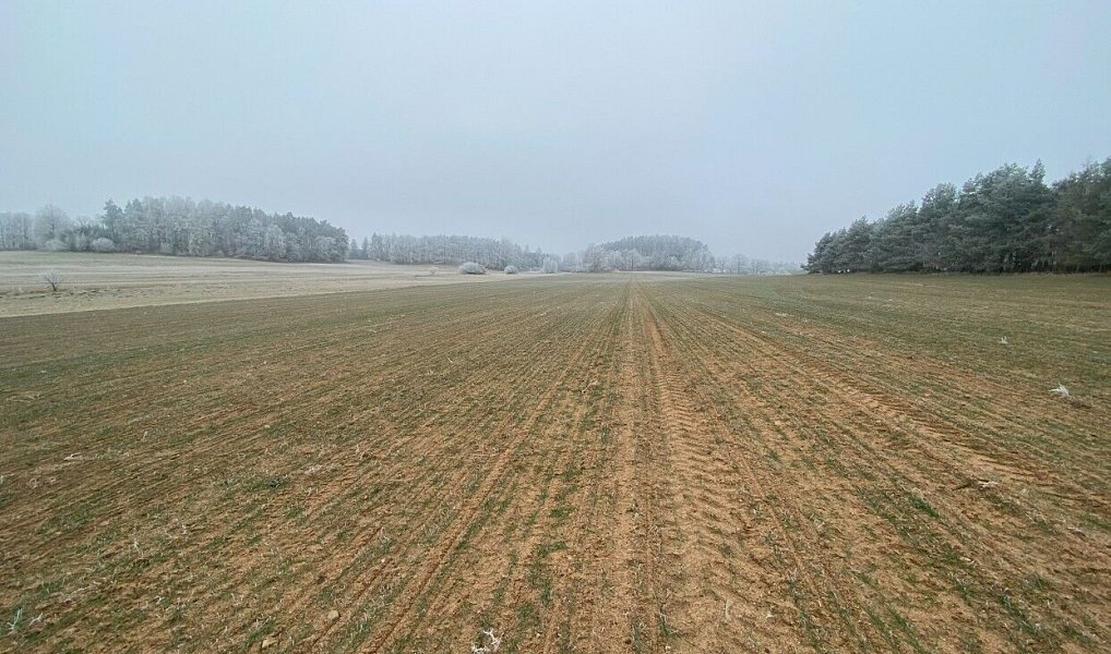 Prodej pole 13 059 m², Slatina – náhled fotky 3