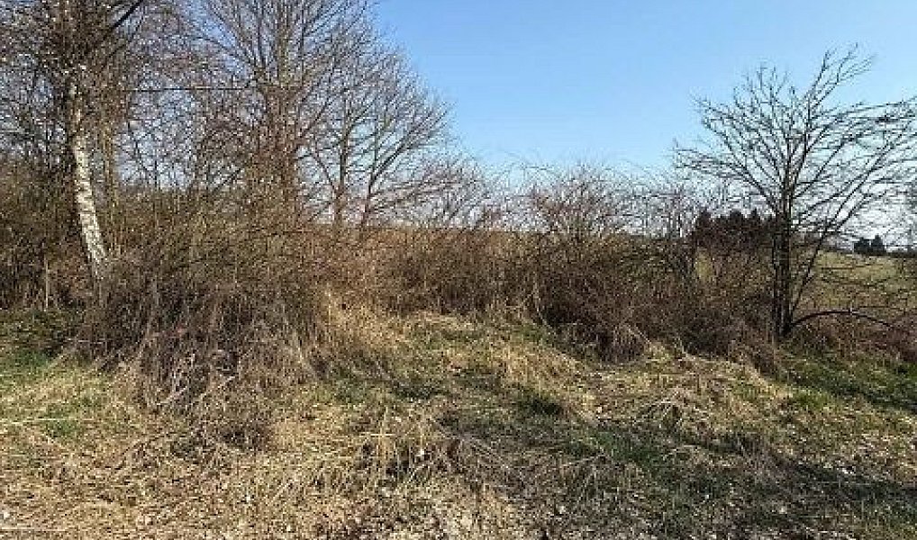 Prodej louky 651 m², Kostelec u Křížků – náhled fotky 9
