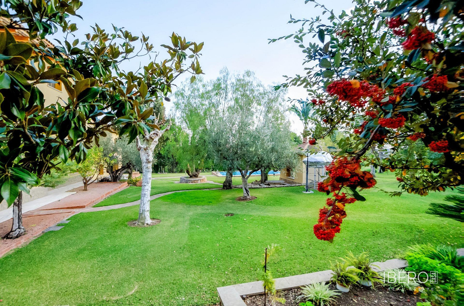 Fotka 20 z 30