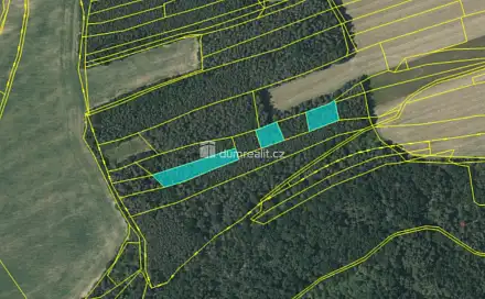 Prodej lesa 3 528 m², Plasy - Žebnice, okres Plzeň-sever