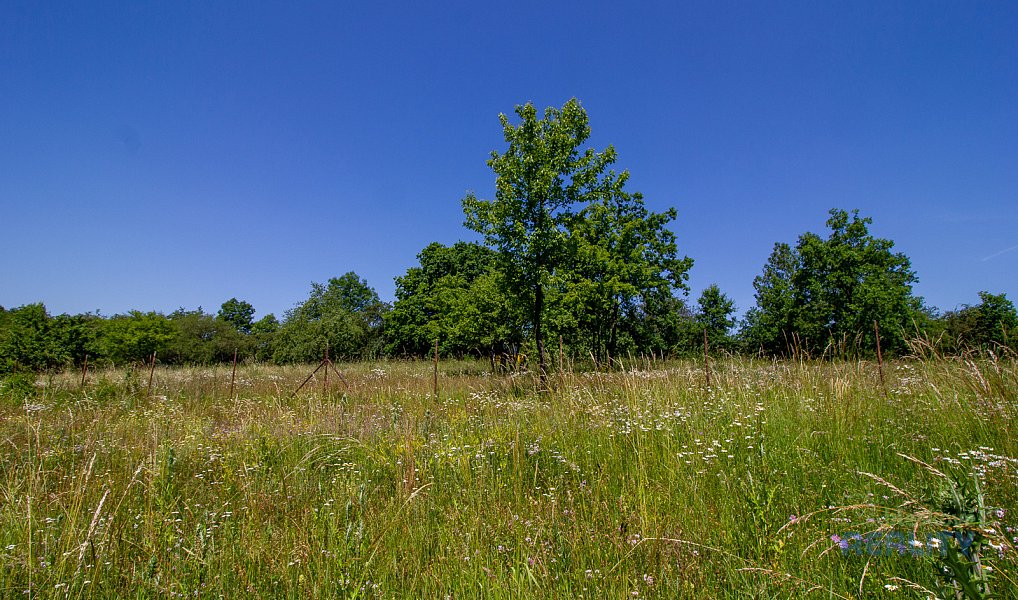 Prodej komerčního pozemku 10 599 m², Praha – náhled fotky 6