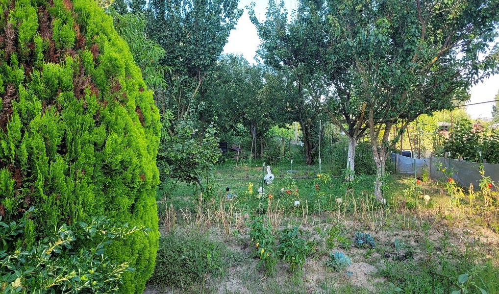 Prodej zahrady 200 m², Hulín – náhled fotky 3