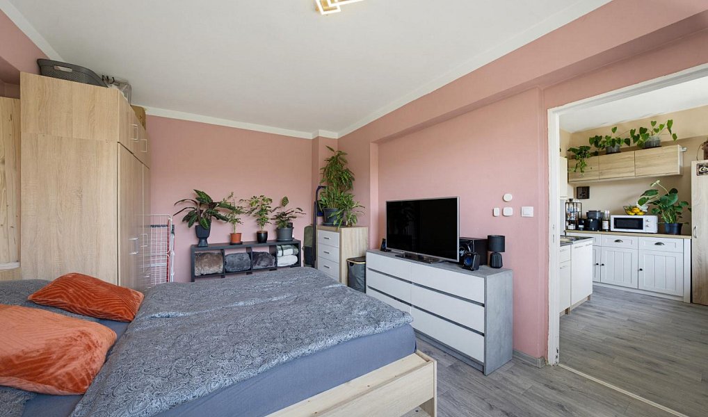 Prodej bytu 2+1 50 m², Třebíč – náhled fotky 6