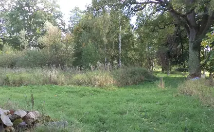 Dražba louky 160 m², Žďár