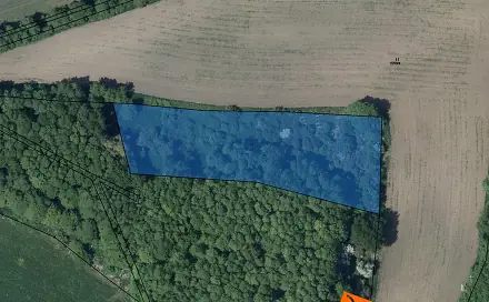Prodej lesa 6 587 m², Měrunice, okres Teplice