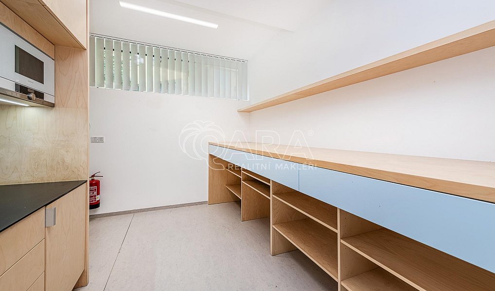 Pronájem kanceláře 240 m², Praha – náhled fotky 13