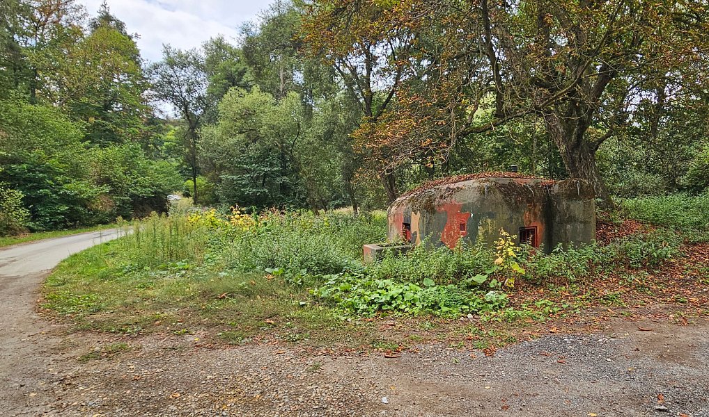 Prodej louky 3 589 m², Stříbro – náhled fotky 7