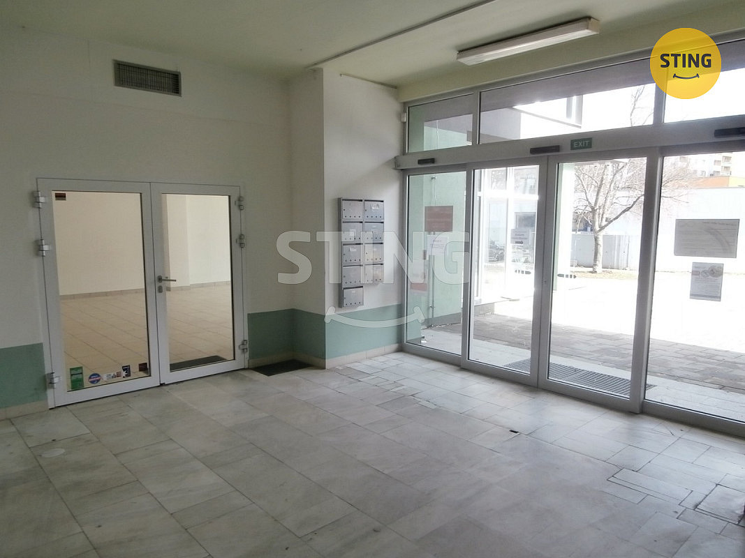 Pronájem obchodních prostor 240 m² – fotografie 2