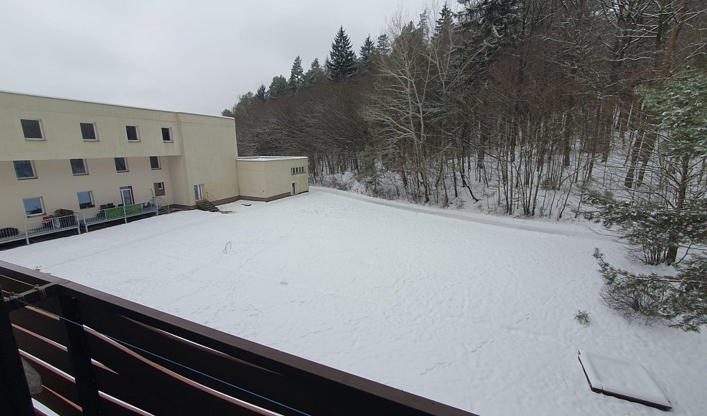 Pronájem bytu 1+kk 20 m², Všemina – náhled fotky 14