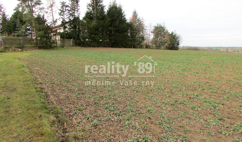 Prodej stavebního pozemku 4 101 m², Červené Pečky – náhled fotky 3