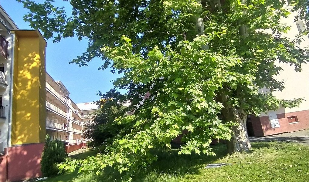 Prodej bytu 2+1 50 m², Vsetín – náhled fotky 4