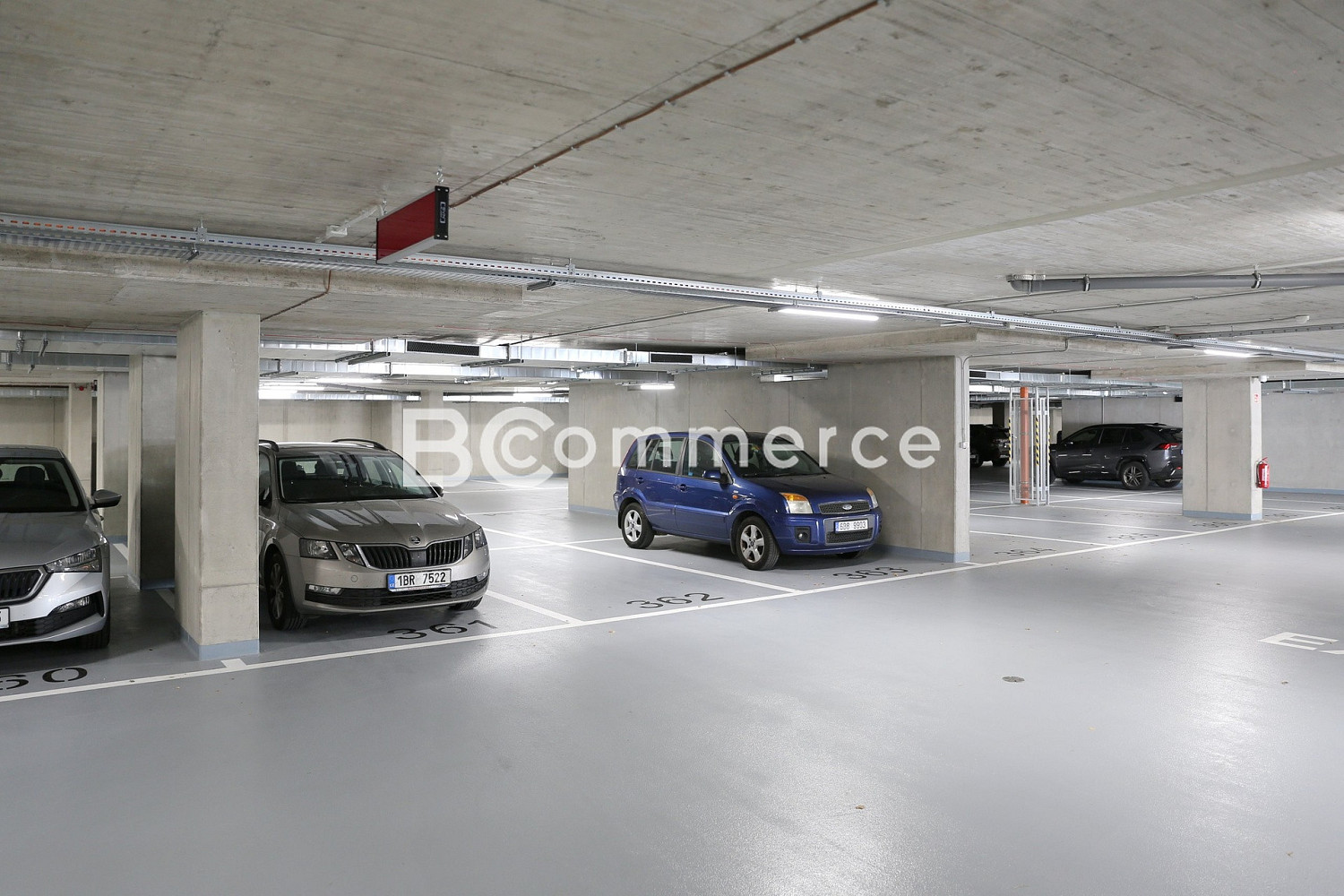 Fotka 13 z 13