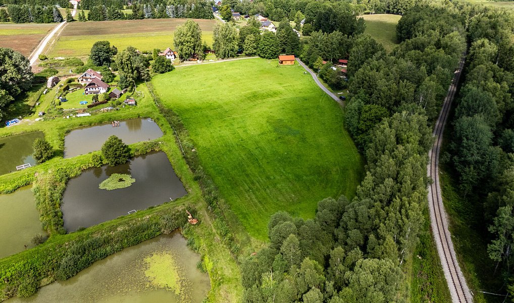 Prodej pozemku 9 752 m², Nová Pec – náhled fotky 7