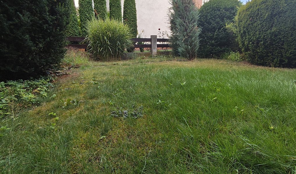 Pronájem domu 309 m² s pozemkem 152 m², Pardubice – náhled fotky 4