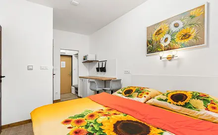 Prodej bytu 1+kk 17 m², Benešov nad Černou - Černé Údolí, okres Český Krumlov
