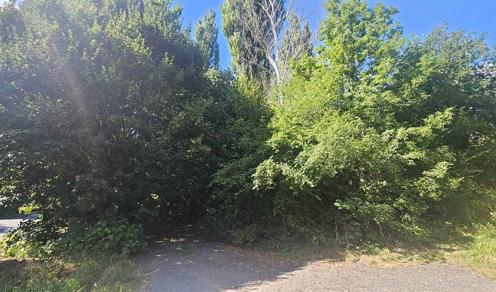 Prodej stavebního pozemku 5 391 m², Ústí nad Labem – náhled fotky 13