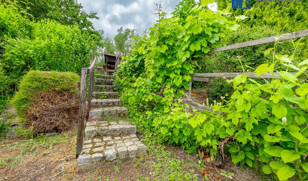 Prodej chaty/chalupy 15 m² s pozemkem 600 m², Novosedlice – náhled fotky 11