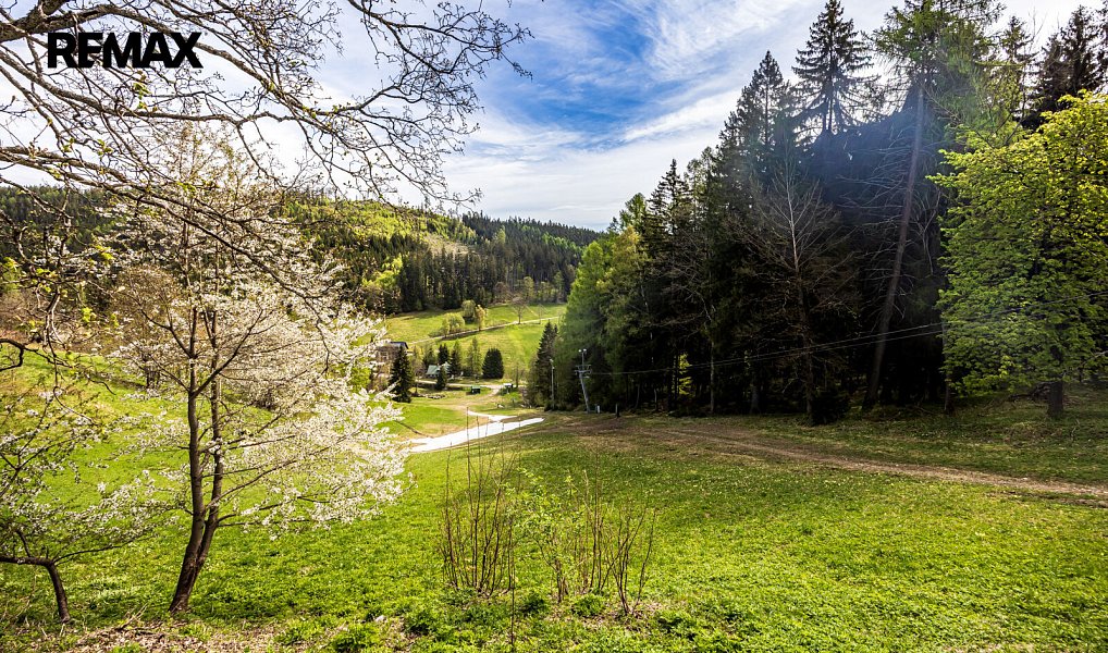 Prodej chaty/chalupy 281 m² s pozemkem 14 379 m², Strážné – náhled fotky 8