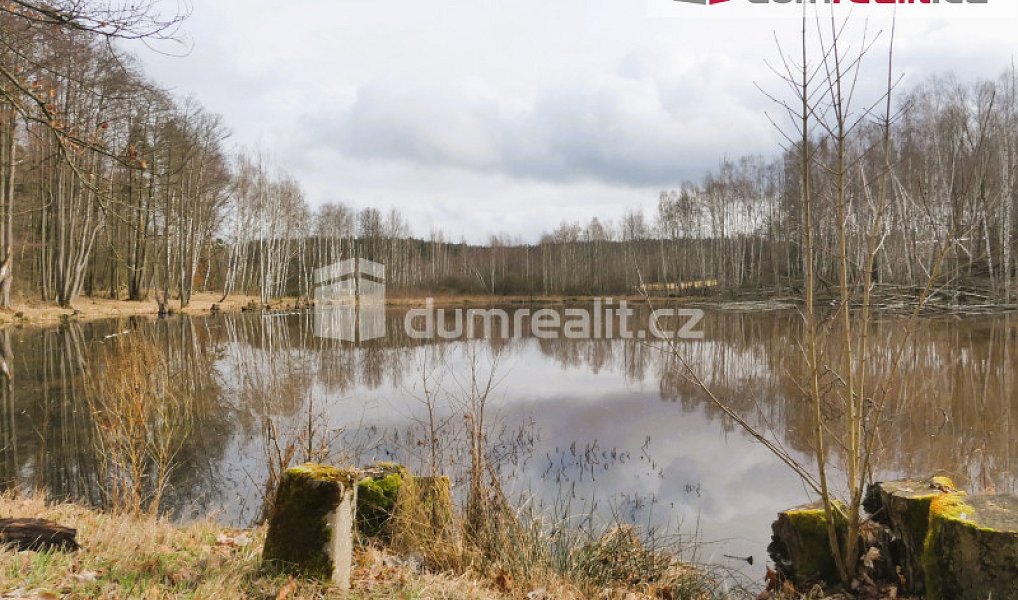 Prodej vodní plochy 3 974 m², Pomezí nad Ohří – náhled fotky 10