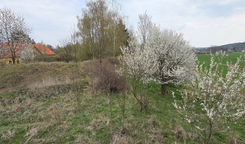 Prodej komerčního pozemku 14 793 m², Drásov – náhled fotky 14