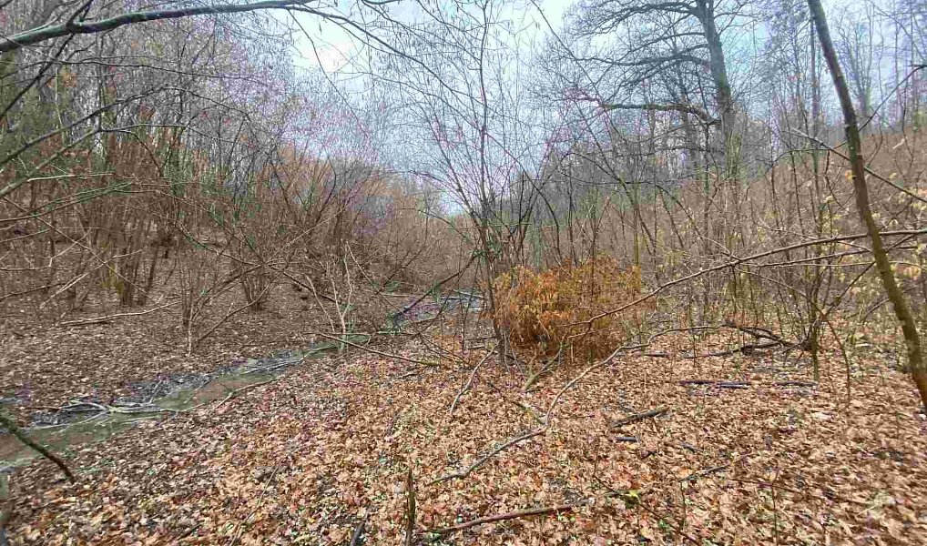 Prodej pole 3 207 m², Ždánice – náhled fotky 4